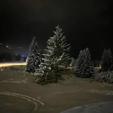 Cozy Retreat Grand 3* Poiana Braşov