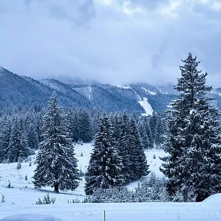 Cozy Retreat Grand Poiana Brasov