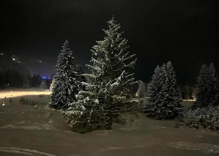 Cozy Retreat Grand 3* Poiana Brasov