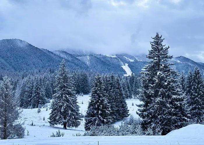 Cozy Retreat Grand Poiana Brasov